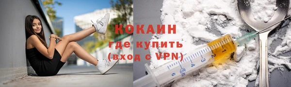бошки Белокуриха