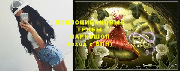бошки Белокуриха